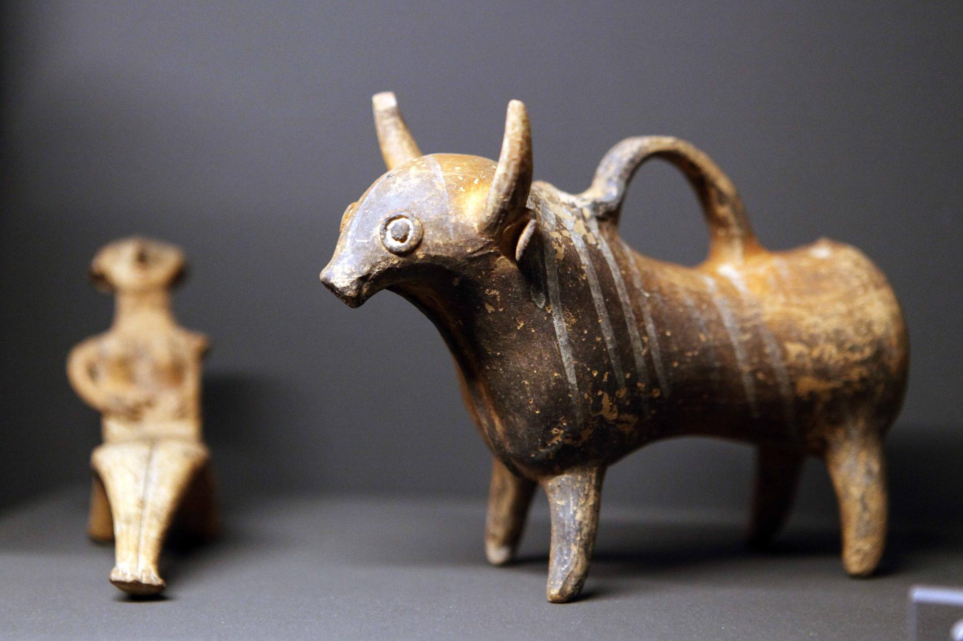 Immagini dalla mostra
