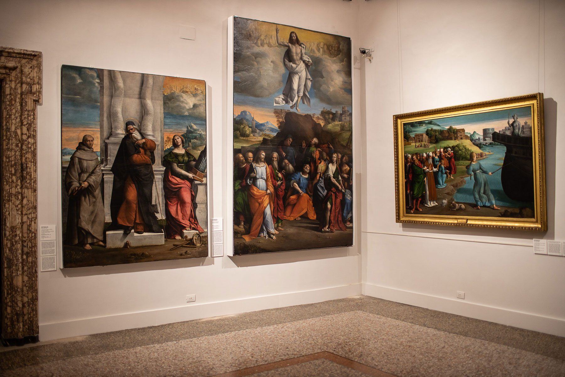 Sala 14. Foto di Alberto Novelli
