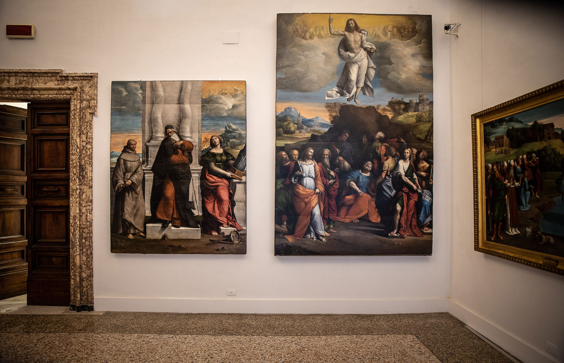 Sala 14. Foto di Alberto Novelli
