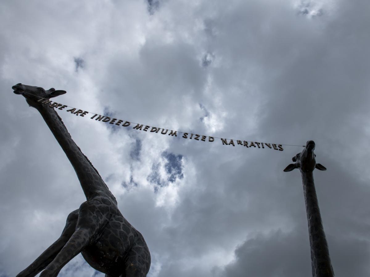 Raphaela Vogel, There Are Indeed Medium-Sized Narratives
