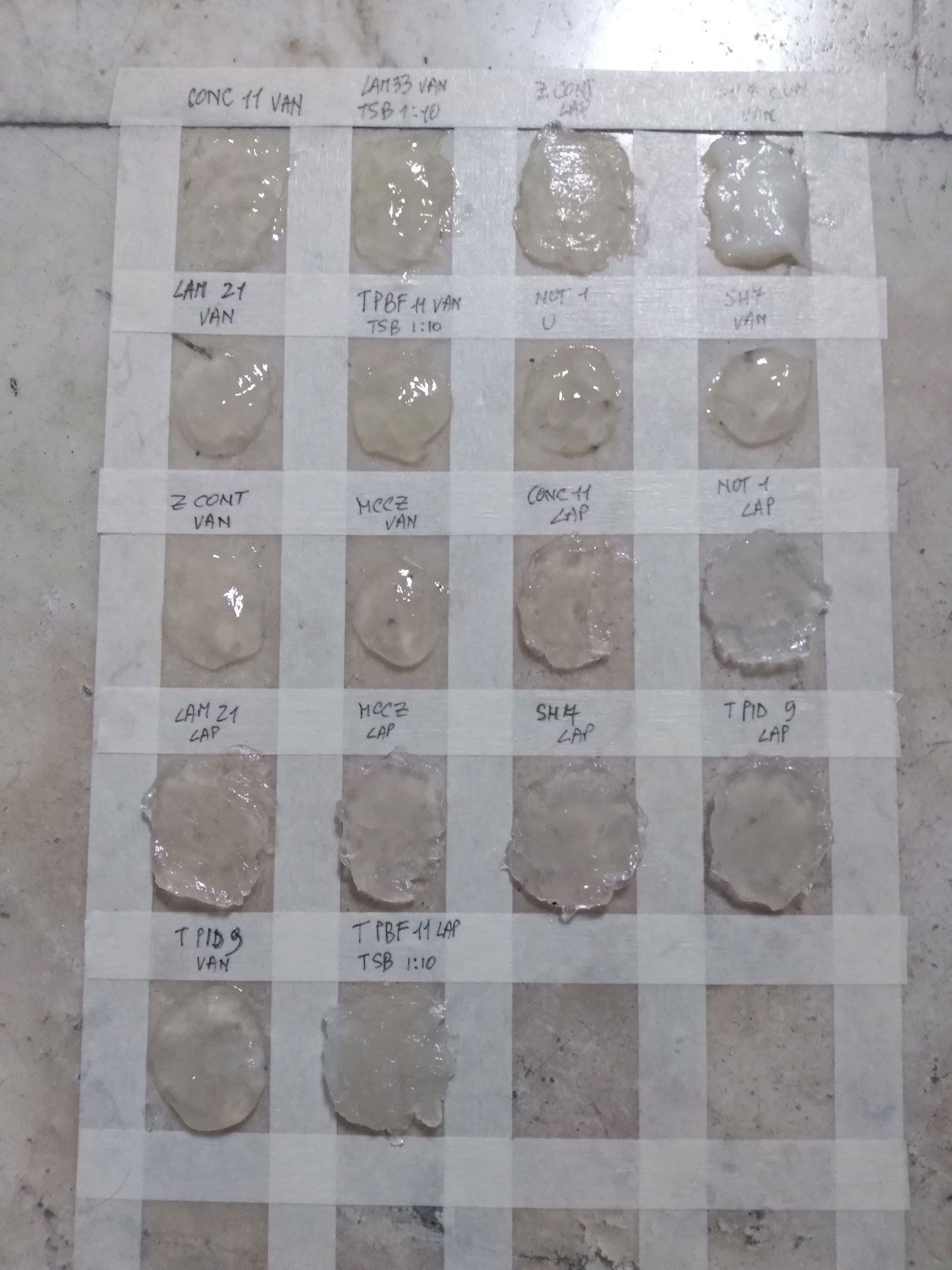 Test con batteri sull'altare della Sagrestia Nuova del Museo delle Cappelle Medicee - Foto per gentile concessione di ENEA
