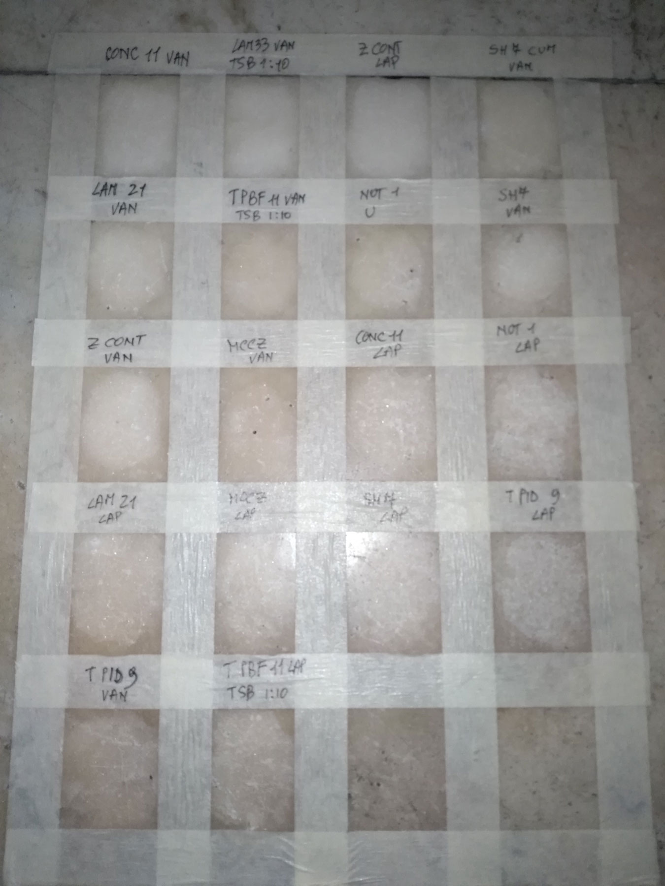 Risultati dopo test con batteri sull'altare della Sagrestia Nuova del Museo delle Cappelle Medicee. Foto per gentile concessione di ENEA
