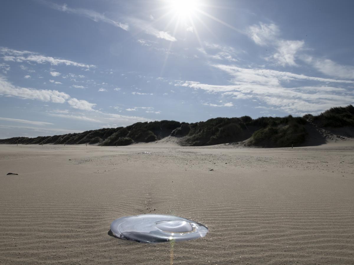 Rossella Biscotti, Stranded
