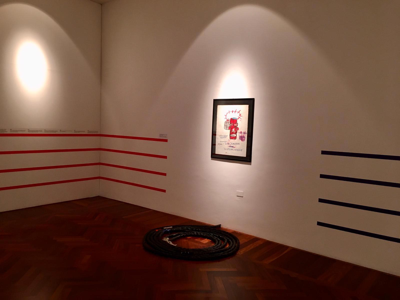 Sala della mostra
 Sala della mostra
