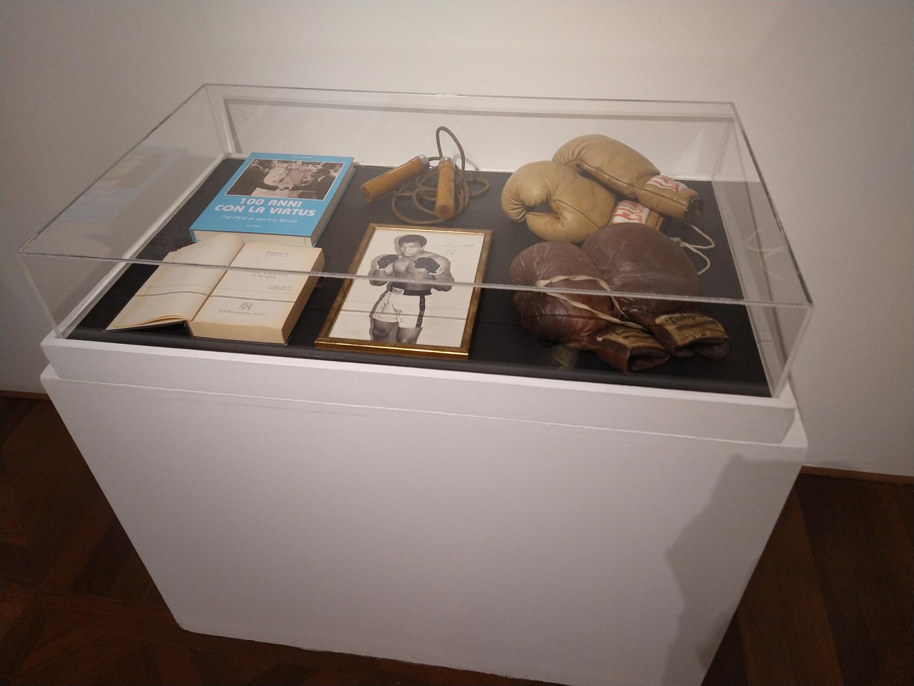 Sala della mostra
 Sala della mostra