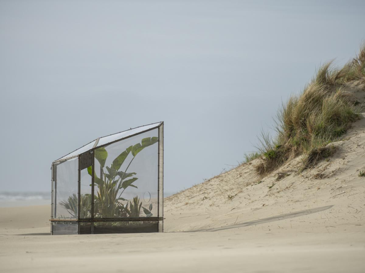 Sammi Baloji, ... and those North Sea waves whispering sunken stories
