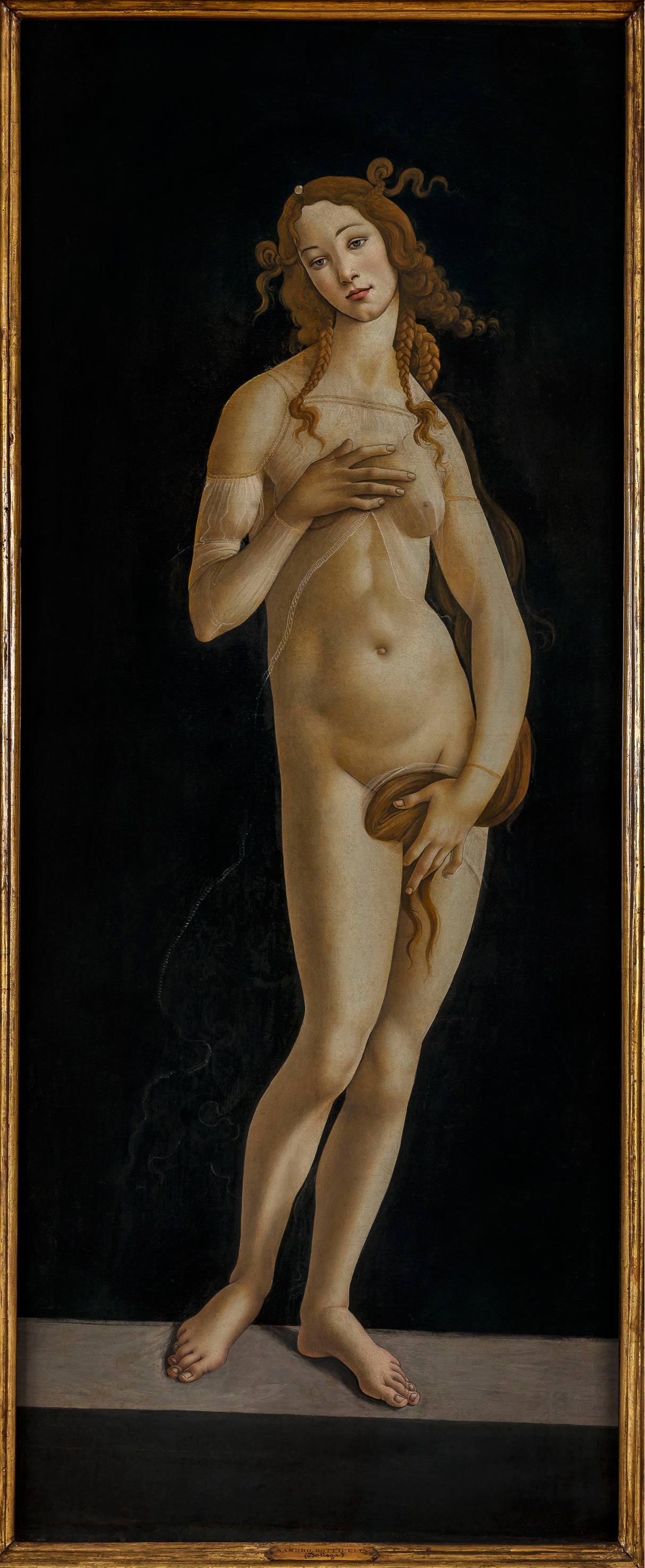Sandro Botticelli or workshop, Venus (c. 1495-1497; oil on canvas, 174 x 77 cm; Turin, Galleria Sabauda)