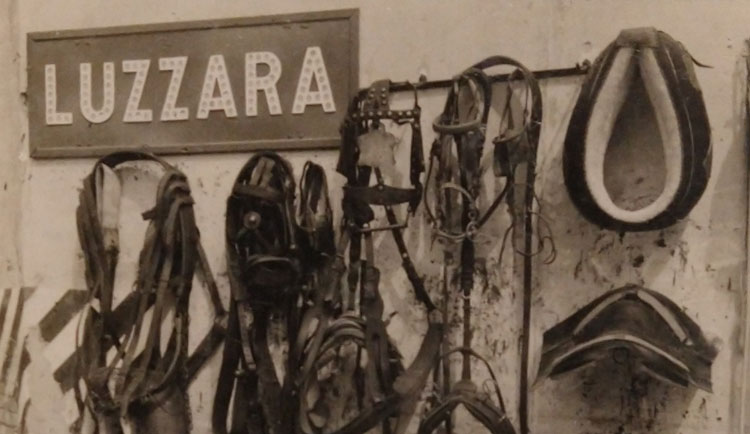 Livre Paul Strand Fotografie - Catalogue Exposition Fiesole 1983 - Italien - Occasion