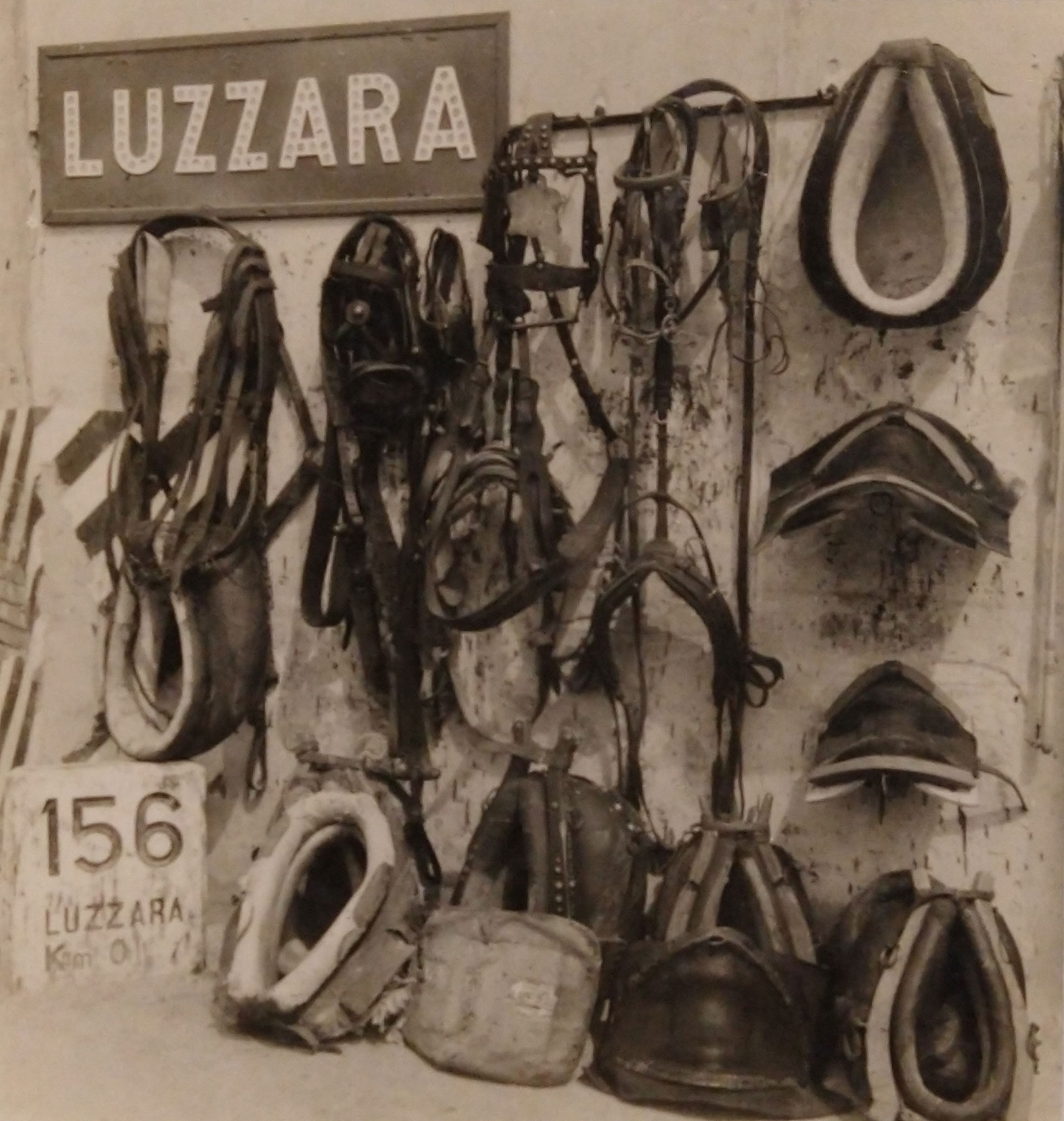 Hazel Kingsbury Strand
