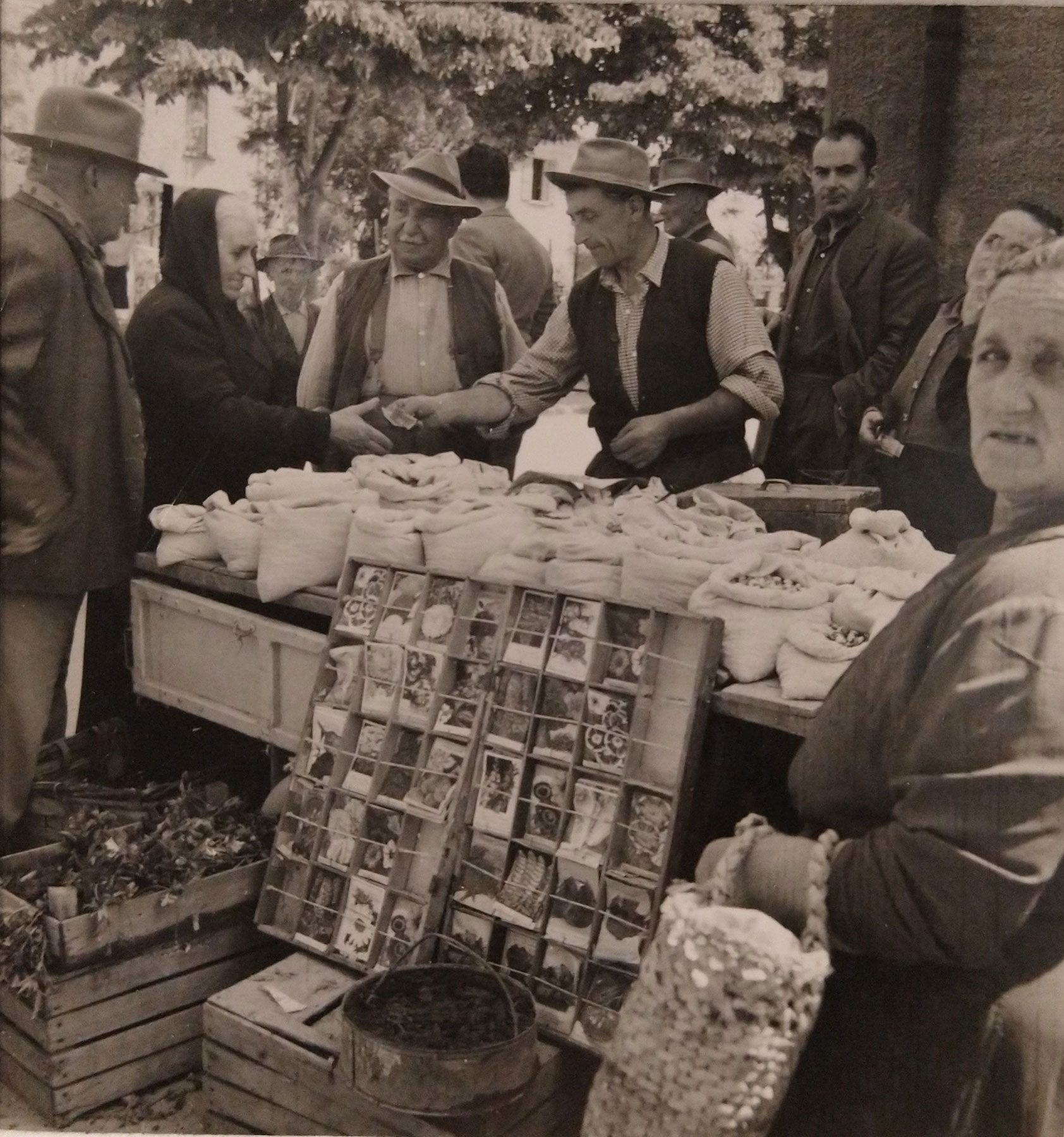 Hazel Kingsbury Strand
