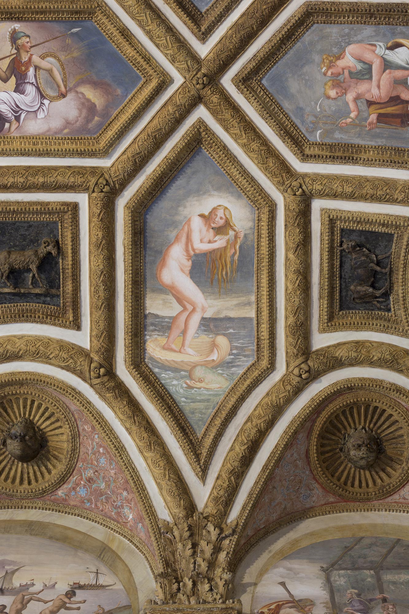 Giulio Romano e allievi, Venere Anadiomene (1527-1528; affresco; Mantova, Palazzo Te, Volta della Camera dei Venti) Foto: Gian Maria Pontiroli © Fondazione Palazzo Te
 Giulio Romano e allievi, Venere Anadiomene (1527-1528; affresco; Mantova, Palazzo Te, Volta della Camera dei Venti) Foto: Gian Maria Pontiroli © Fondazione Palazzo Te