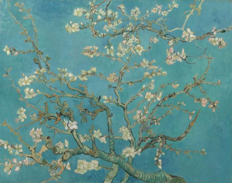 Vincent van Gogh, Mandorlo in fiore (febbraio 1890; olio su tela, 73,3 x 92,4 cm; Amsterdam, Van Gogh Museum)
