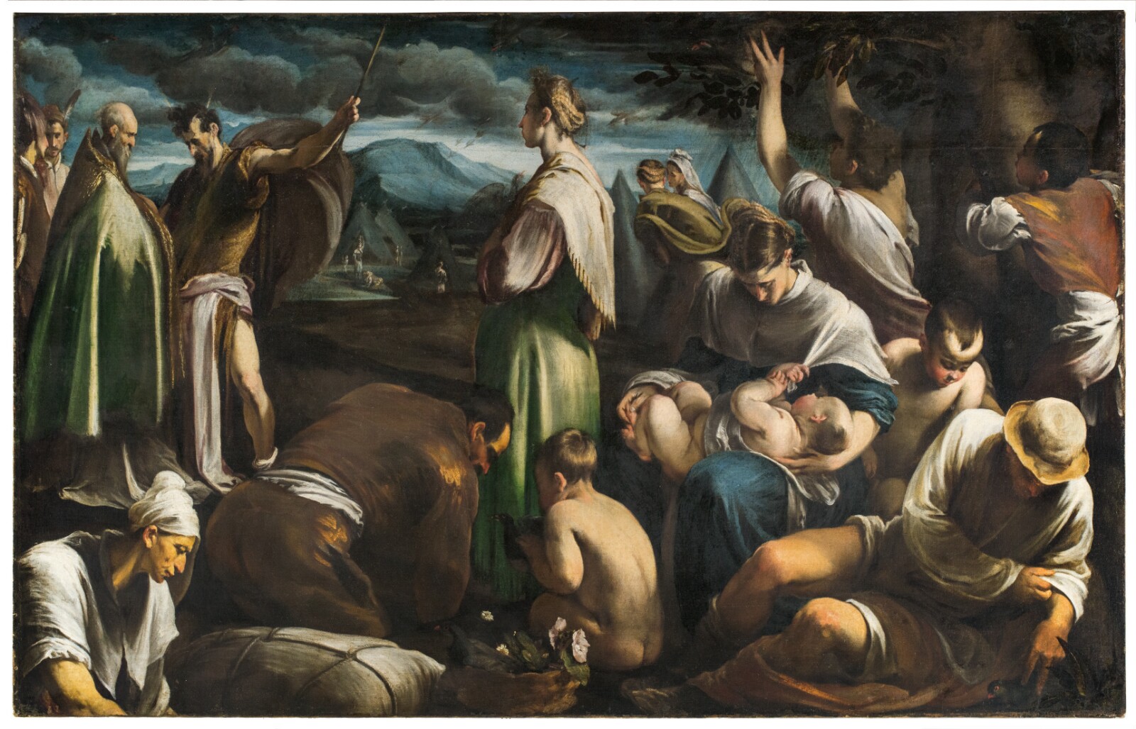 Jacopo Bassano, Il miracolo delle quaglie (1554; olio su tela, 150 x 235 cm; Los Angeles, Getty Museum)
 Jacopo Bassano, Il miracolo delle quaglie (1554; olio su tela, 150 x 235 cm; Los Angeles, Getty Museum)