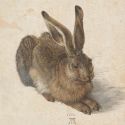 Gli animali di Albrecht Dürer: perché i suoi studi erano così realistici e innovativi