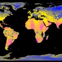 A Lisbona un percorso immersivo per riflettere sull'attuale emergenza climatica