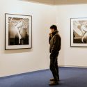 Reggio Emilia, a maggio confermata la XVI edizione del festival Fotografia Europea 