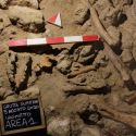 Circeo, trovati resti di nove uomini di Neanderthal nell'importante sito di Grotta Guattari