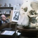 Dopo cinquant'anni torna a Firenze l'arte di Henry Moore