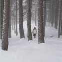 La neve rischia di scomparire per sempre. Al MUSE si indaga il rapporto uomo/natura