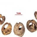 Marocco, scoperti gioielli fatti di conchiglie: sono ritenuti i più antichi al mondo 