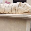 A Roma, in pieno Trastevere, installato un monumento alla porchetta, che fa schifo a tutti