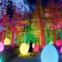 La tecnologia digitale trasforma storico giardino giapponese in un paese delle meraviglie