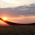 Nasce l'app che conduce alla scoperta delle sculture di Mauro Staccioli nelle campagne toscane