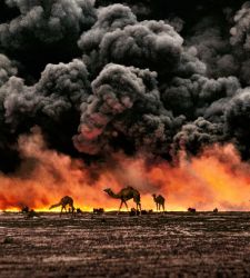 Le piÃ¹ iconiche fotografie di Steve McCurry dedicate agli animali in mostra a Stupinigi 