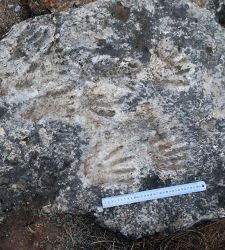 Tibet, scoperte impronte di 200.000 anni fa: forse sono l'opera rupestre piÃ¹ antica al mondo