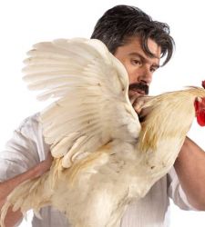 When a chicken becomes an innovative work of art. Interview with Koen Vanmechelen