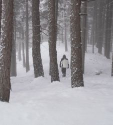 La neve rischia di scomparire per sempre. Al MUSE si indaga il rapporto uomo/natura