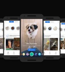 Arriva l'app per scoprire qual Ã¨ il sosia... artistico del tuo animale domestico 