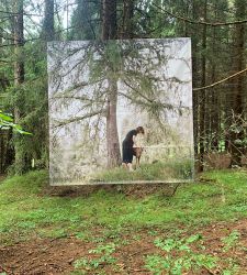 Nei boschi della Val di Non gigantografie sospese... tra gli alberi