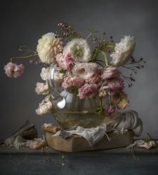 A Senigallia la personale di Cristopher Broadbent, fotografo di still life 