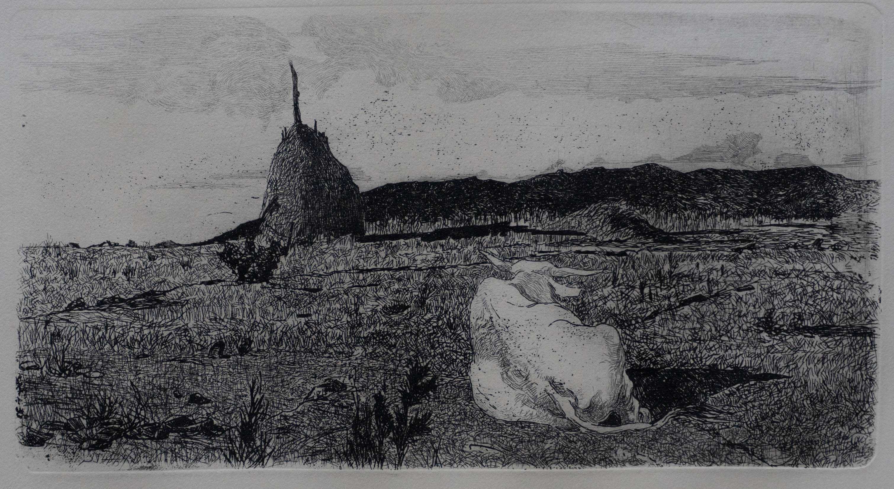 Giovanni Fattori, Pio bove (1890-1900 lastra, 1900-1908 impressione; acquaforte, 46,5 x 64,5 cm; Livorno, Museo Civico Giovanni Fattori)
