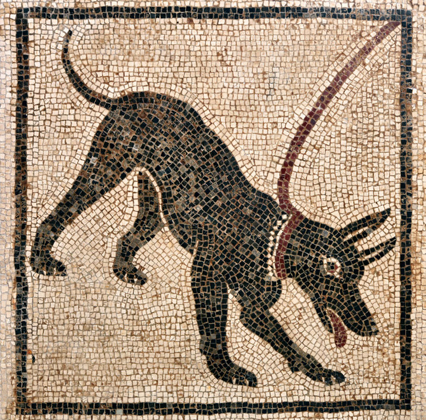 Cave Canem (I secolo d.C.; mosaico, 70 x 70 cm; Napoli, Museo Archeologico Nazionale)
