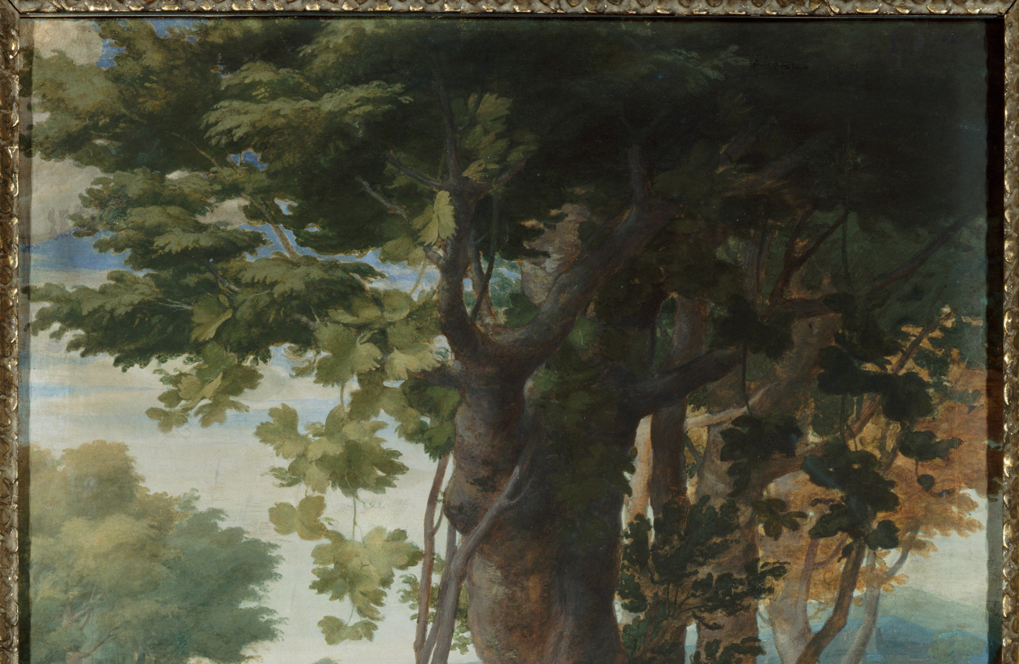 Correggio, Allegoria del Vizio o dell'Insipienza, particolare superiore.
