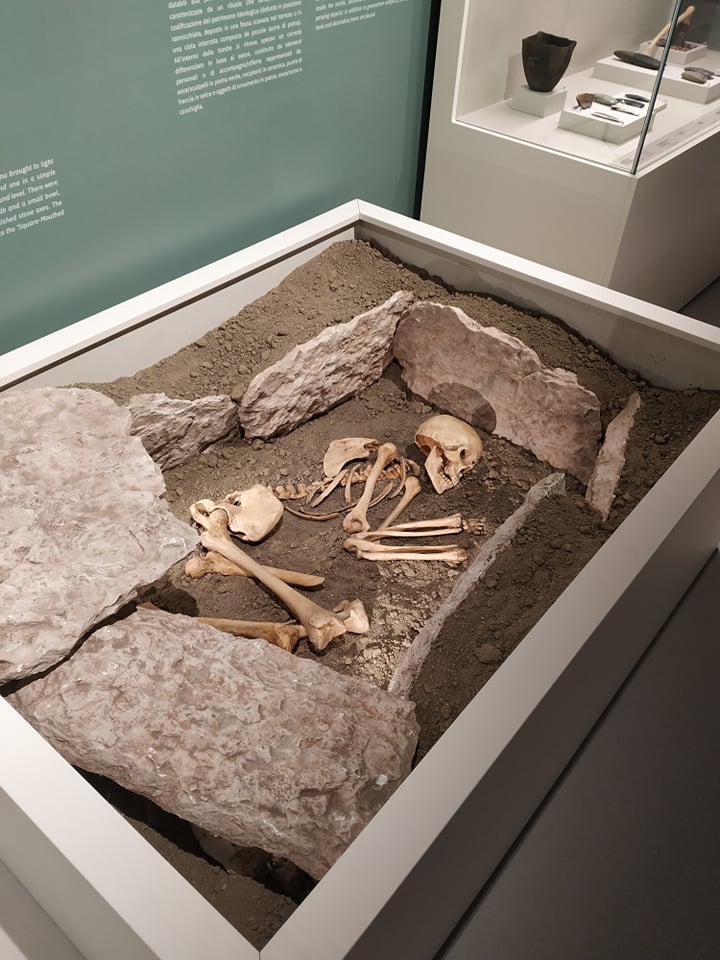 Apertura del nuovo Museo Archeologico Nazionale di Verona
 Apertura del nuovo Museo Archeologico Nazionale di Verona