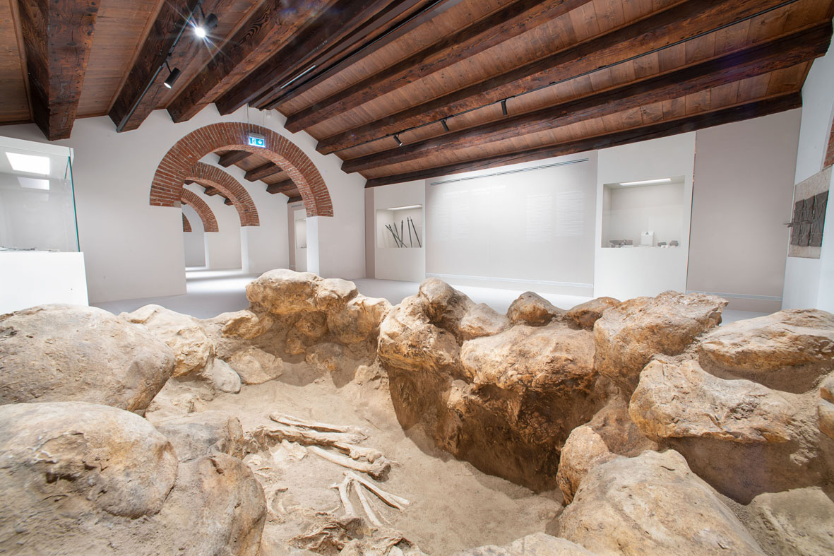 Allestimenti del nuovo Museo Archeologico Nazionale di Verona
 Allestimenti del nuovo Museo Archeologico Nazionale di Verona