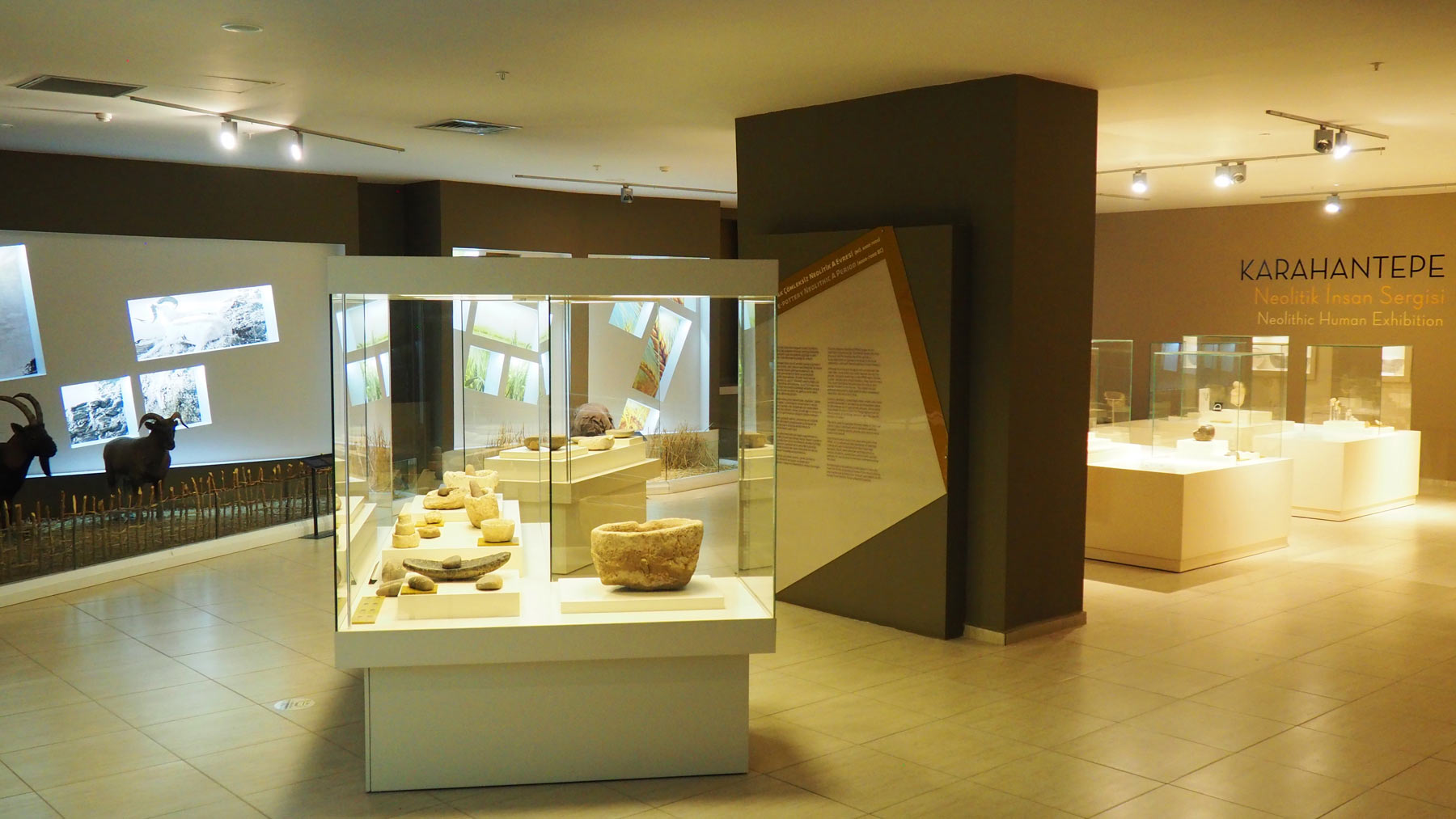 Sala del Museo Archeologico di Şanlıurfa dedicata a reperti e manufatti provenienti da Karahan Tepe. Foto di Michela Bassanello
