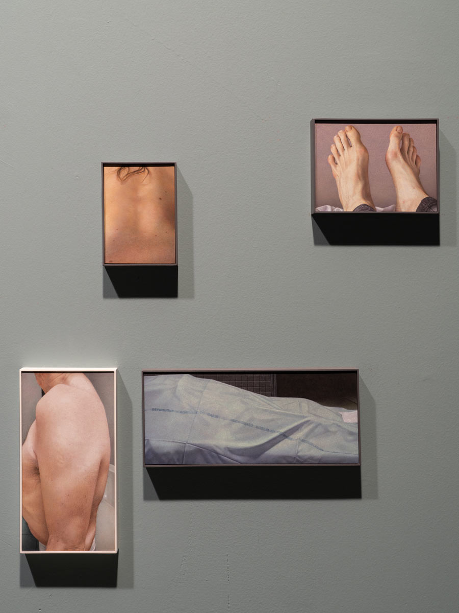 Dipinti di Chiara Enzo. Foto di Marco Cappelletti
