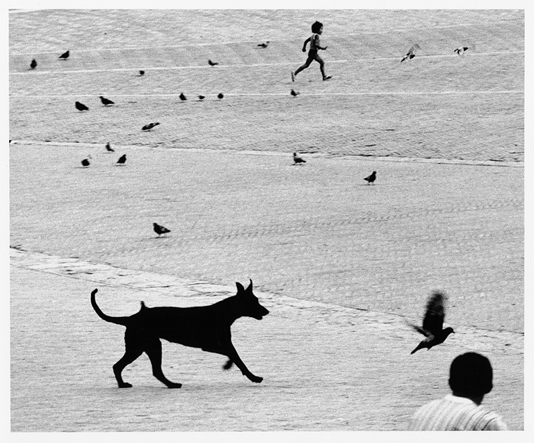 Gianni Berengo Gardin, Siena, 1983. © Gianni Berengo Gardin / Su gentile concessione di Fondazione Forma per la Fotografia
 Gianni Berengo Gardin, Siena, 1983. © Gianni Berengo Gardin / Su gentile concessione di Fondazione Forma per la Fotografia