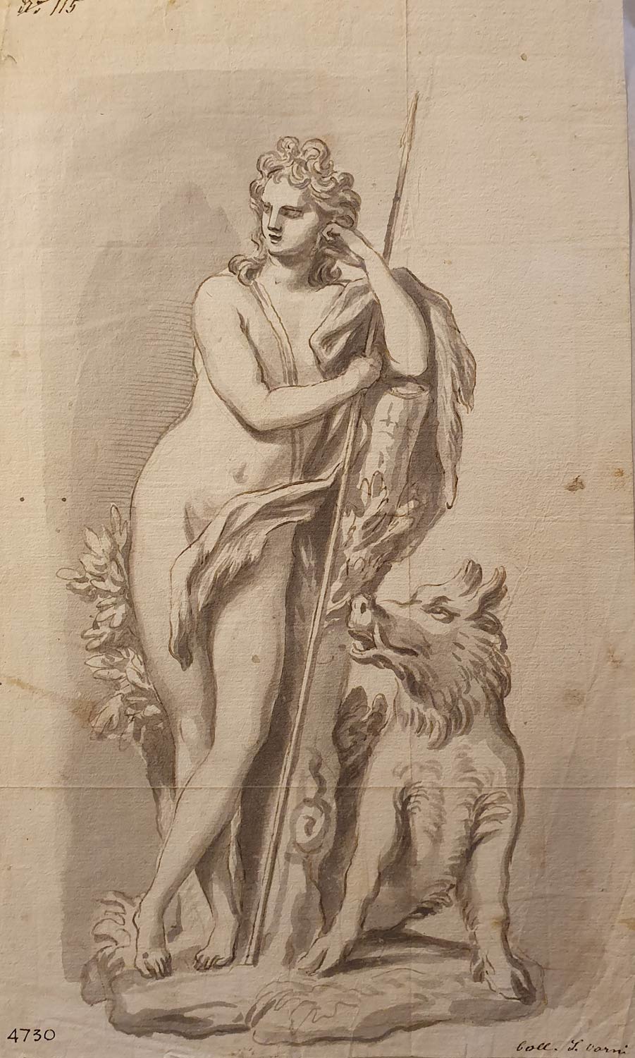 Domenico Parodi, Adone e il cinghiale (1715-1720 circa; matita, penna e inchiostro, pennello e inchiostro acquerellato grigio, 298 x 174 mm; Genova, Musei di Strada Nuova, Gabinetto dei Disegni e delle Stampe di Palazzo Rosso, inv. D 4730)
 Domenico Parodi, Adone e il cinghiale (1715-1720 circa; matita, penna e inchiostro, pennello e inchiostro acquerellato grigio, 298 x 174 mm; Genova, Musei di Strada Nuova, Gabinetto dei Disegni e delle Stampe di Palazzo Rosso, inv. D 4730)
