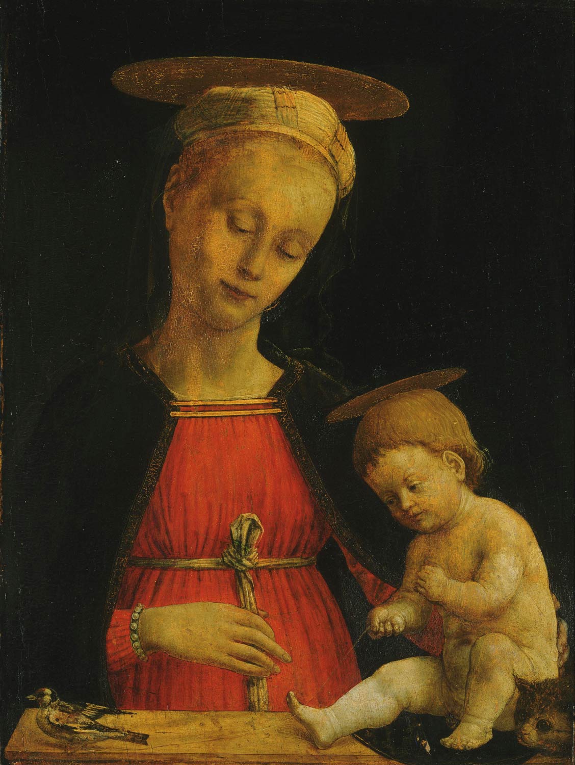 Giovanni Martino Spanzotti, Madonna col Bambino, un cardellino e un gatto (1475 circa; olio su tavola, 44 x 34,1 cm; Filadelfia, Philadelphia Museum of Art)
 Giovanni Martino Spanzotti, Madonna col Bambino, un cardellino e un gatto (1475 circa; olio su tavola, 44 x 34,1 cm; Filadelfia, Philadelphia Museum of Art)