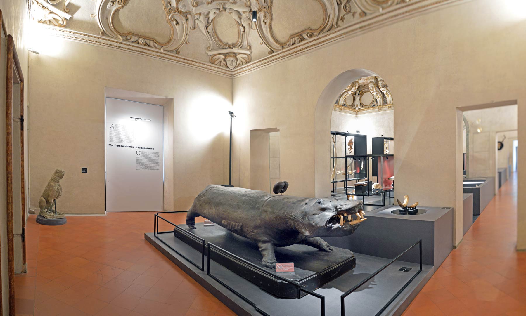 L'allestimento Naturalia e Mirabilia nella Galleria delle Metamorfosi di Palazzo Ducale, Mantova. Foto di Palazzo Ducale
