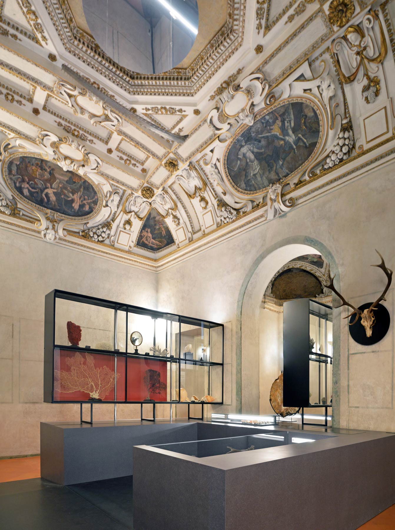 L'allestimento Naturalia e Mirabilia nella Galleria delle Metamorfosi di Palazzo Ducale, Mantova. Foto di Palazzo Ducale
