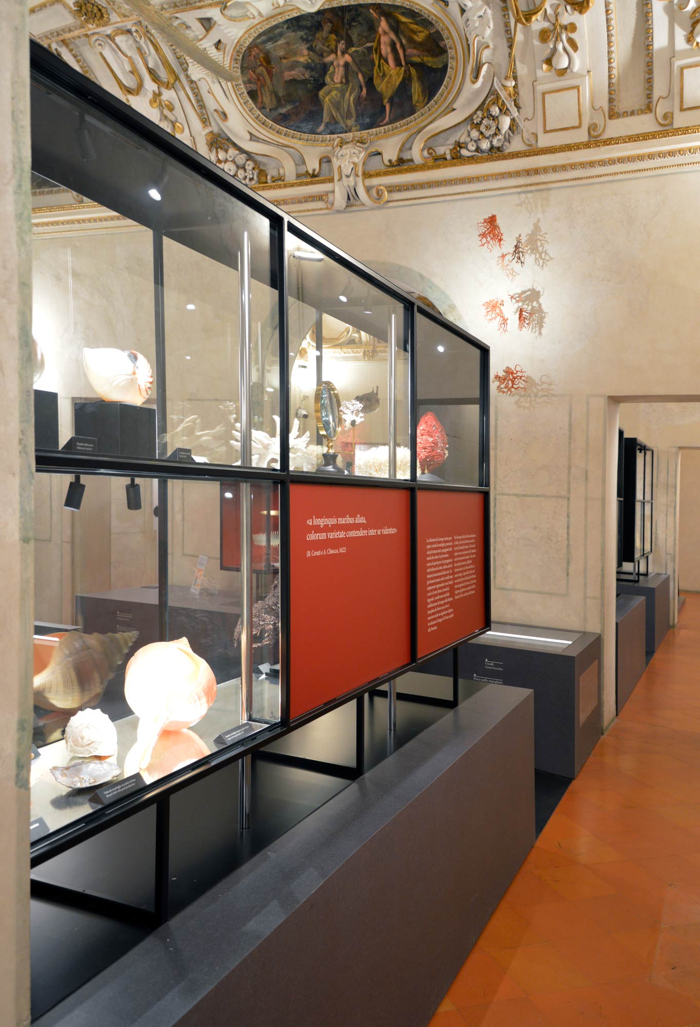 L'allestimento Naturalia e Mirabilia nella Galleria delle Metamorfosi di Palazzo Ducale, Mantova. Foto di Palazzo Ducale
