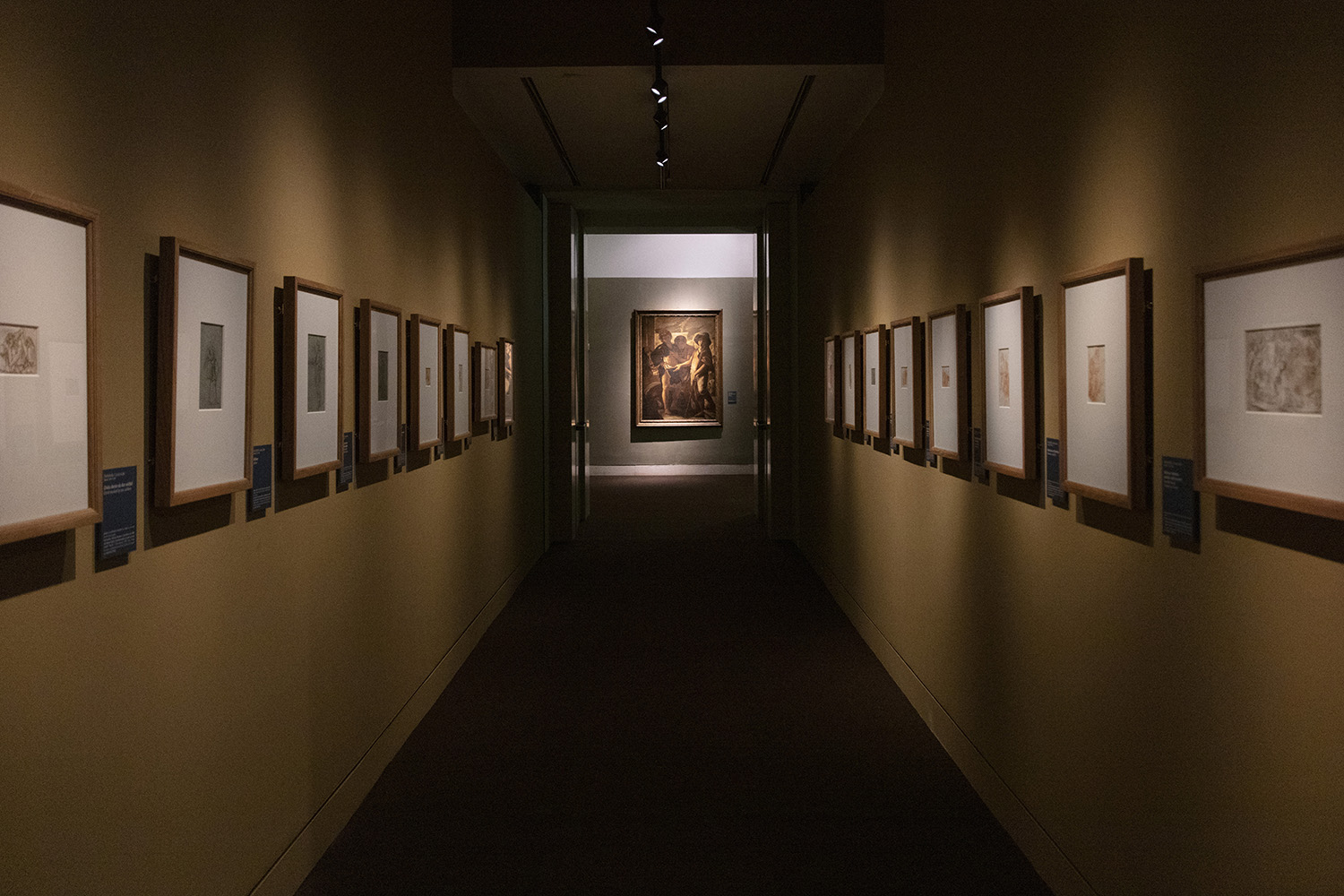 Sala della mostra Il patriarca bronzeo dei Caravaggeschi: Battistello Caracciolo (1578-1635)
