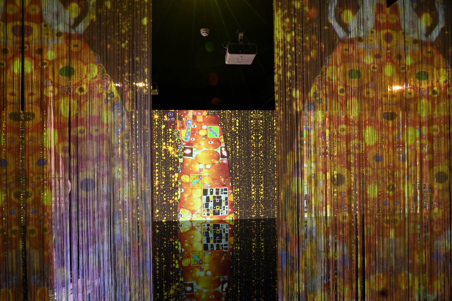 Allestimenti della mostra Klimt. L’uomo, l’artista, il suo mondo
