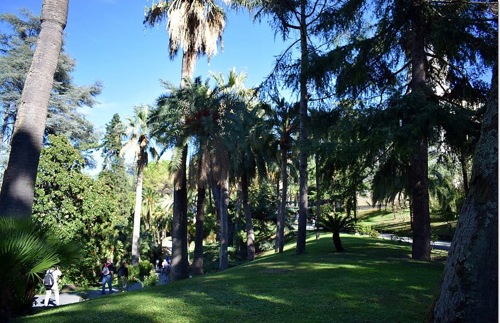 Il bosco romantico. Foto di JÃ¡nos Korom
